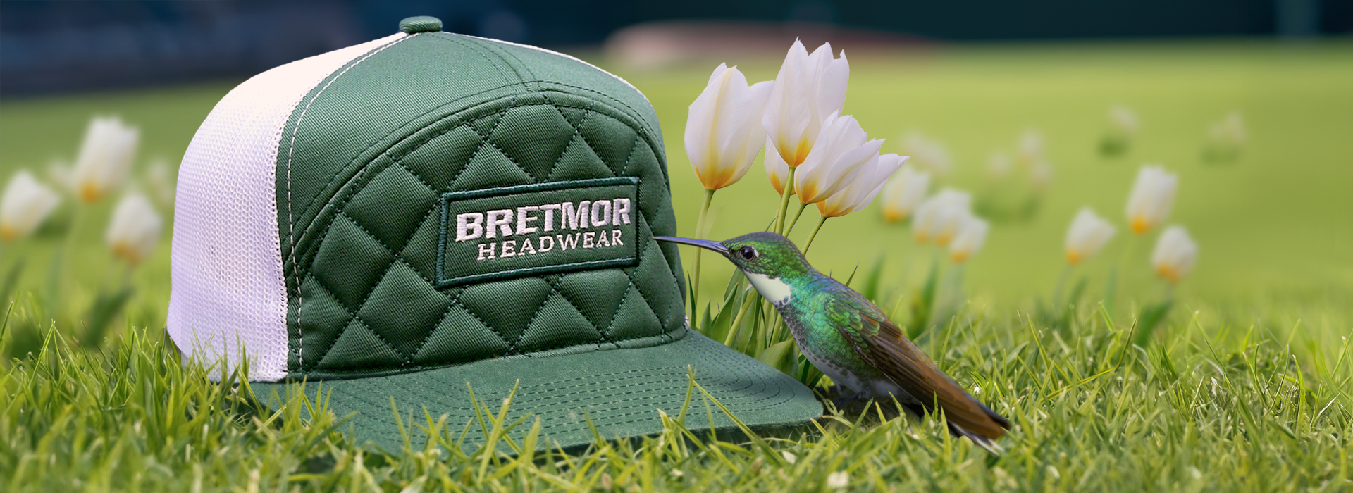 Background image of a cap with a leather patch on a post with hummingbirds hovering around it